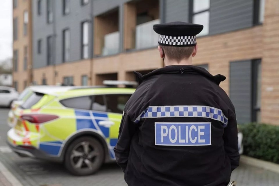 A police officer stands with their back to the viewer, facing a police car and apartment buildings.