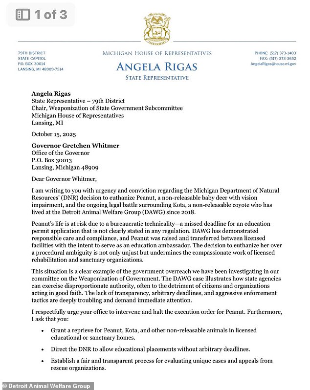 In a fiery letter to Whitmer lawmakers demanded a reprieve for both animals and urged her to order the DNR to secure permanent homes for rescued wildlife