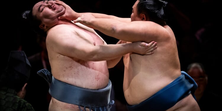 Reinforced toilets, jumbo chairs and wild WAGS