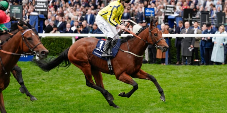 Ascot racegoers left in state of shock as 200-1 shot Powerful Glory becomes longest-priced winner of a Group 1
