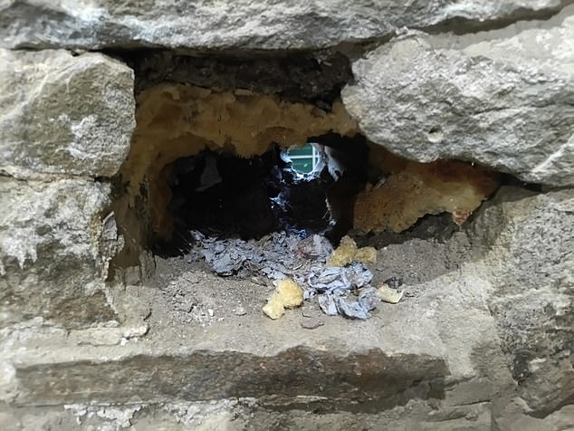 The installer left a substantial hole in the wall of Duncan's home which gave way to a mice infestation