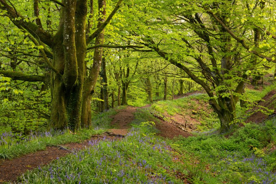 NINTCHDBPICT001032082510