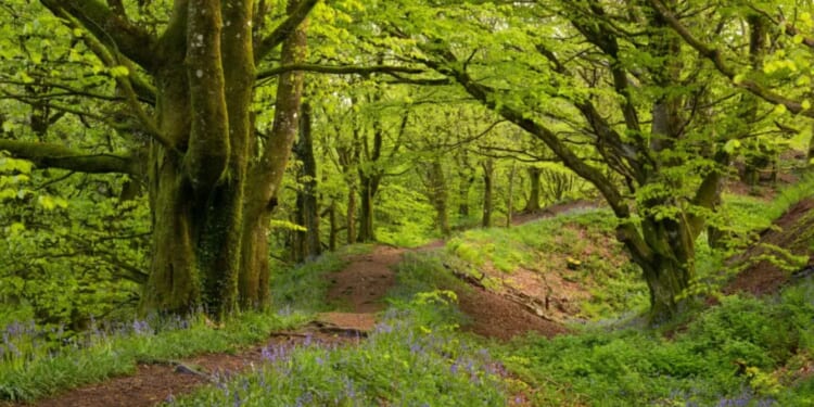 Major investigation launched after ‘body’ found in rural village as cops cordon off area