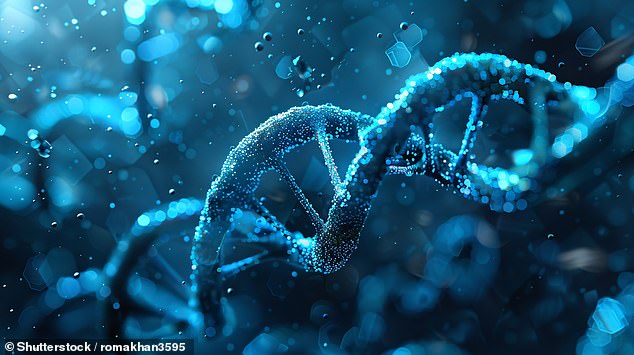 DNA forms part of a 'unique, sophisticated and coordinated coding system' that points to the existence of an 'intelligent designer'