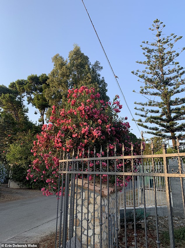 Lascari, a tiny commune located about 50km east of Palermo, has only around 3,600 residents