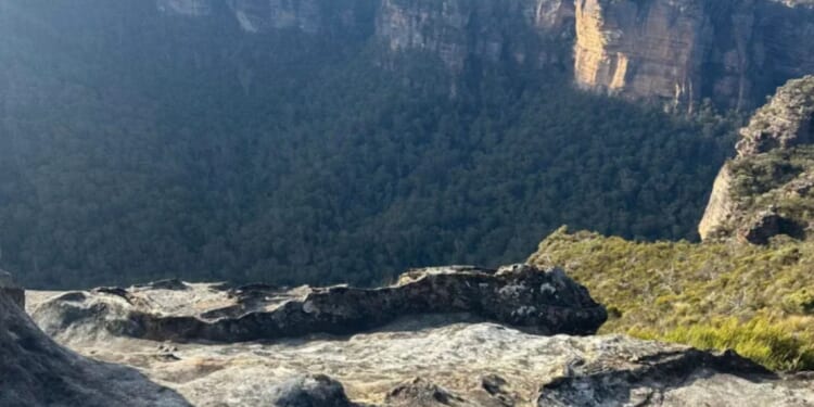 Couple under fire for proposal that was done 'for views'