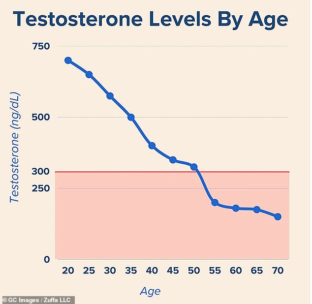 Testosterone levels peak in young adulthood, around age 20, but decline by about 1 percent annually after age 30. This data is from a University of Wisconsin study