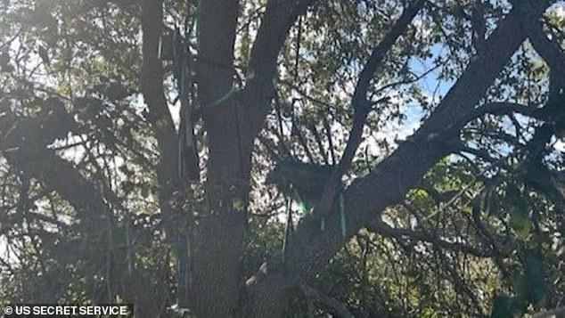 A hunting stand was discovered near the airport Trump uses to fly into Florida. It had a direct line of sight to Air Force One, officials said