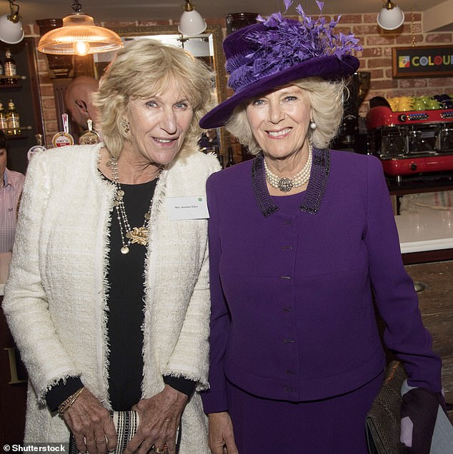 Lady Annabel's role in the royal story was established on the night that she hosted the 40th birthday party of Queen Camilla's younger sister, Annabel Elliot