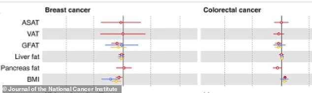 An increase in fat under the skin fat (ASAT, or subcutaneous) was associated with a 46 percent lower risk of luminal B/HER2-negative-like breast cancer and a 57 percent lower risk for triple-negative or basal-like breast cancer. Deep abdominal fat was associated with a 14 percent higher risk of colorectal cancer