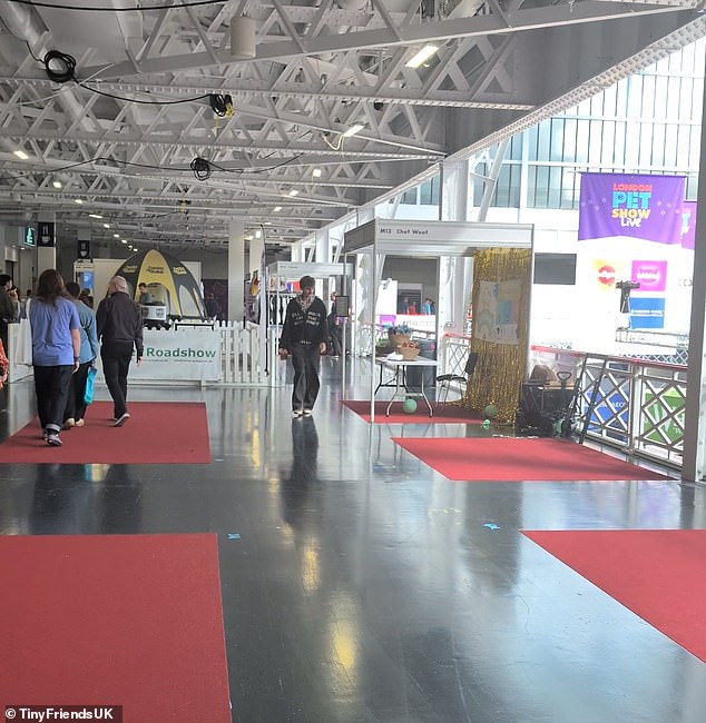 Several companies say the low number of sold tickets meant they were left with unsold stock and sales far less than they expected. Pictured: The event appears almost empty of visitors