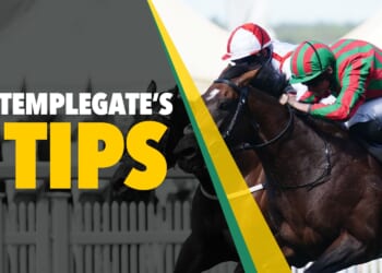 Horse racing tips: 'He can go back-to-back over this specialist trip'