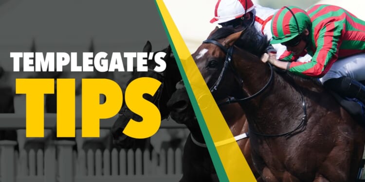 Horse racing tips: 'He can go back-to-back over this specialist trip'