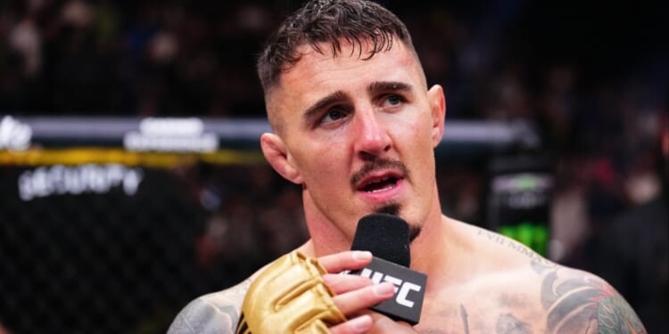 Who is on the full undercard?