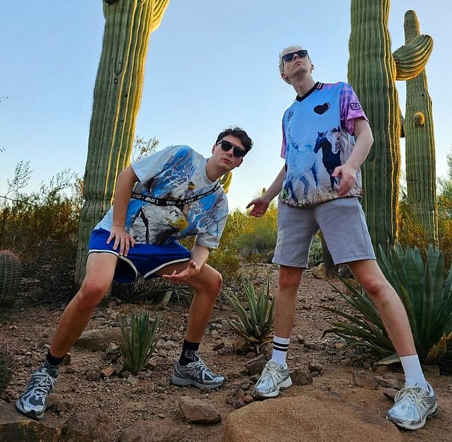 The pair run Dan and Phil Productions Limited, which has reserves of £203,137, and also their own online merchandise store, IRL Digital Limited, which has £369,856 in reserves