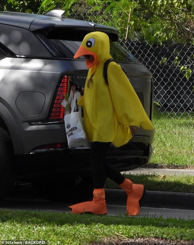 The costume completely hid Kournikova's identity, aside from a small gap inside the beak