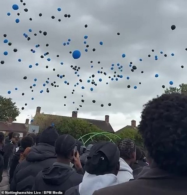 Around 300 people came to a send-off event (pictured) he organised last week, with speeches, balloons and fireworks to celebrate his younger brother's life
