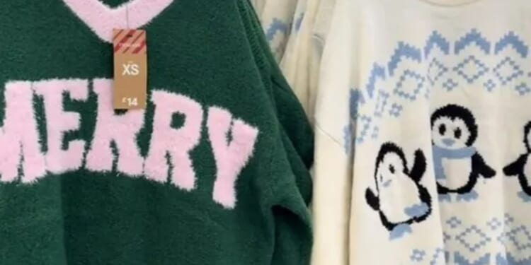 Shoppers are racing to Primark desperate to nab the new-in Christmas jumpers