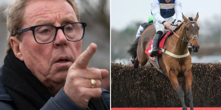 Harry Redknapp lines up massive six-figure horse racing win with awesome unbeaten horse returning from one year off