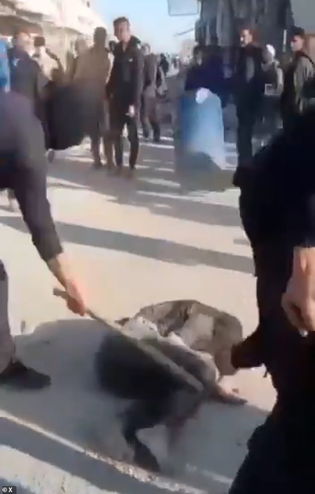 An alleged Palestinian civilian can be seen in the horrific footage curled into a ball as they attempt to shield themselves from the brutal beating