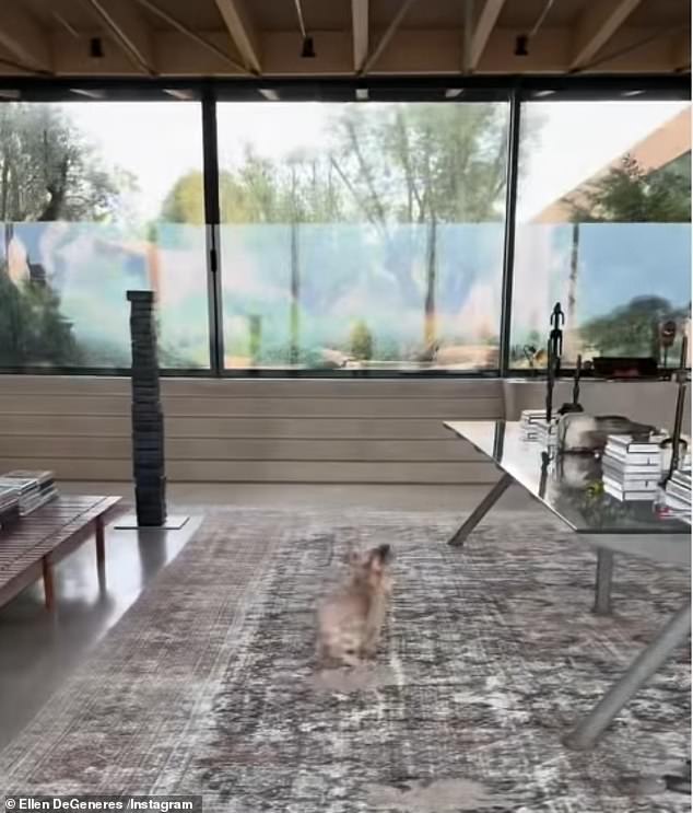 Floor-to-ceiling windows offer a generous view of the lush green backyard on an overcast day