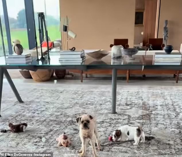 The decor is understated with a tiled dining room table and eight leather chairs; a glass coffee table, and lounge chair that sit on muted gray and ecru rugs