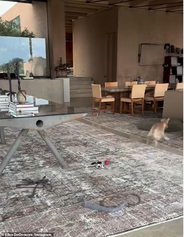 Also spied are piled of hardback books on Africa, interior design and art work