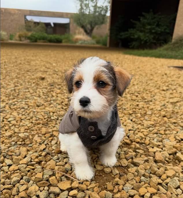 Their new pooch wore a sweater as he posed outside the dewlling