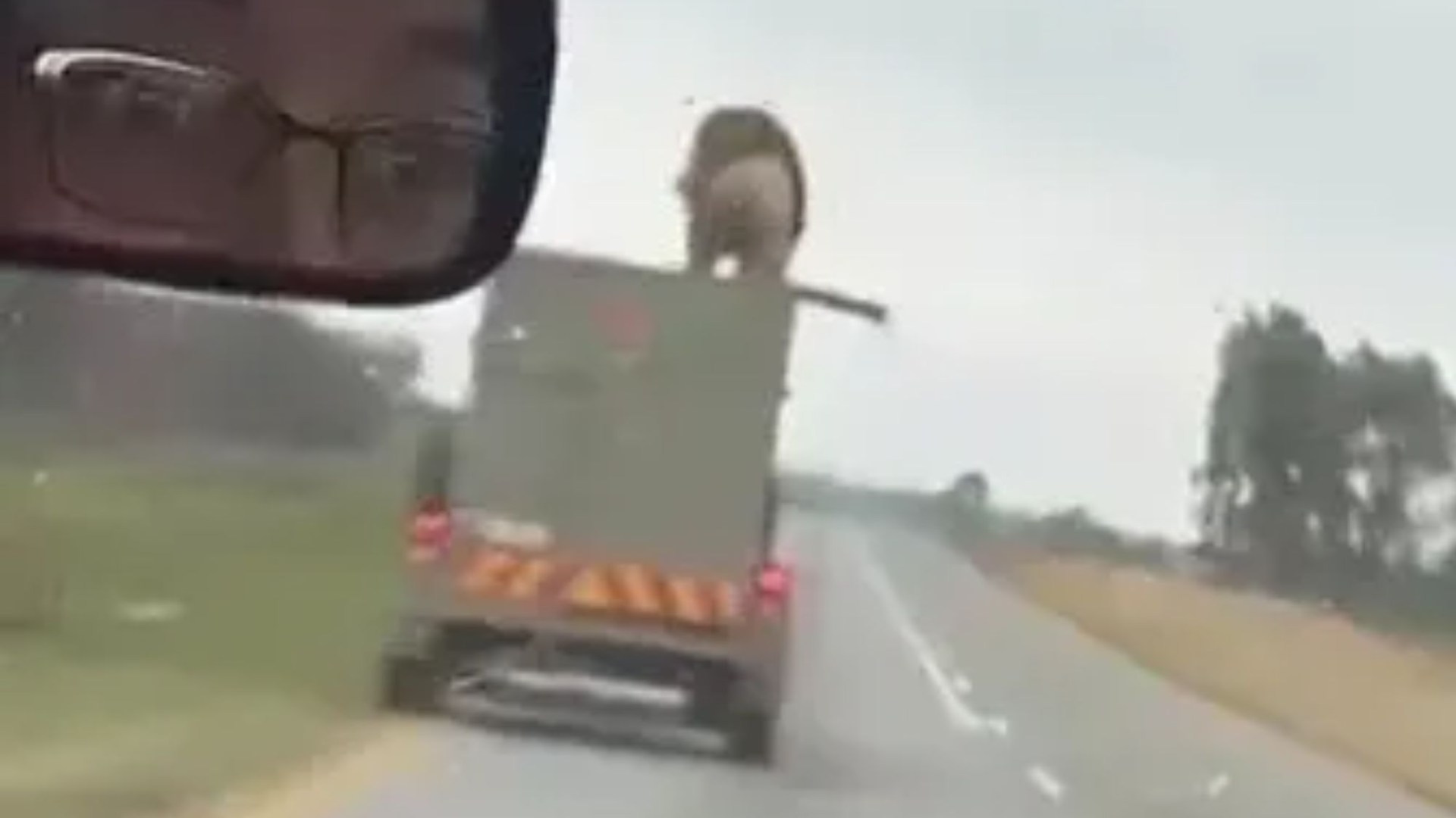 Shock moment giant lion escapes 60mph moving truck & climbs on ROOF before making a break for it in South Africa