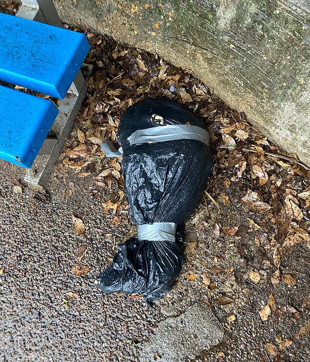 After Dana called 101, it was treated as an emergency. Within minutes two officers had arrived at the path in Boscombe, Bournemouth – and confirmed it was a severed leg and foot