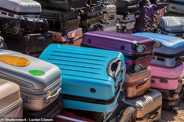 The traveller said that while boarding a Ryanair flight to France in July, the airline did not load their suitcase onto the plane