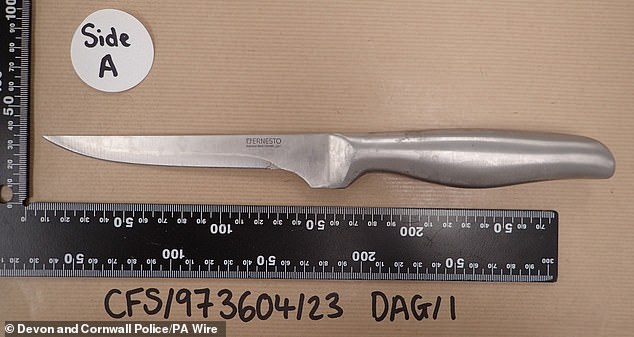 Pictured: The kitchen knife used by Davis to kill Lorna