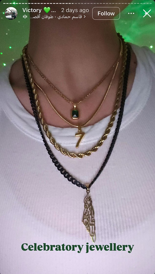 In one particular post from Dr Aladwan's account, an image shows the neck of a woman wearing the number 7 charm, alongside a second chain with a charm showing the map of Palestine and a third sporting a gold rectangular charm inset with a green stone. The caption reads: 'Celebratory jewellery'