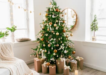 High street chain launches huge festive sale with up to 50% off Christmas trees and light displays