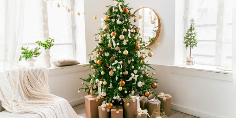 High street chain launches huge festive sale with up to 50% off Christmas trees and light displays