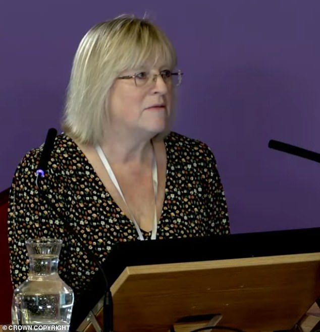 However later, Ms Hodson said, she agreed to remove the word ‘sinister’ and comments referring to Rudakubana as ‘cold and calculating’ from an education plan after mental health workers accused her of racially profiling ‘a black boy with a knife’