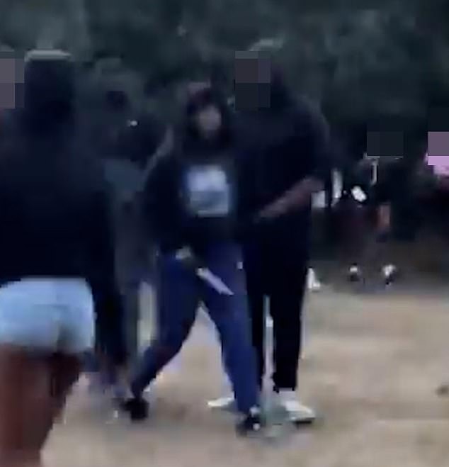 This is the horrifying moment in July a knife-wielding attacker threatens a young girl in a London park, as dozens scream in terror. The attacker continued to square up to other people before settling with the knife by their side