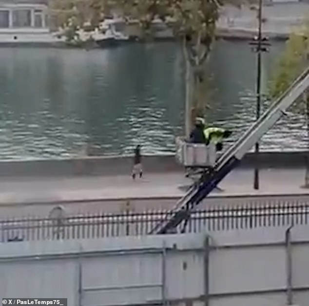 A video shows two thieves coming down a large ladder in a mechanical delivery basket parked by the famous museum in the heart of Paris