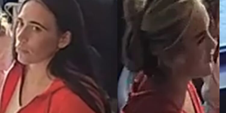 Cops hunt four glam women after group of 'dine-and-dashers' rack up bill at restaurant before fleeing WITHOUT paying