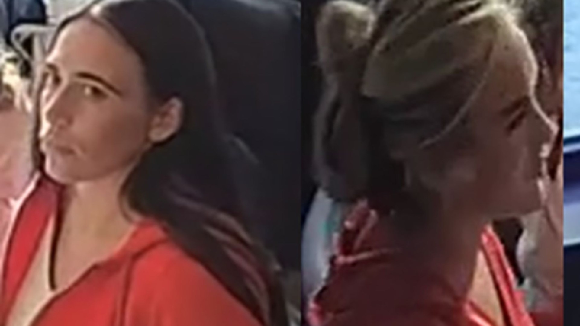 Cops hunt four glam women after group of 'dine-and-dashers' rack up bill at restaurant before fleeing WITHOUT paying