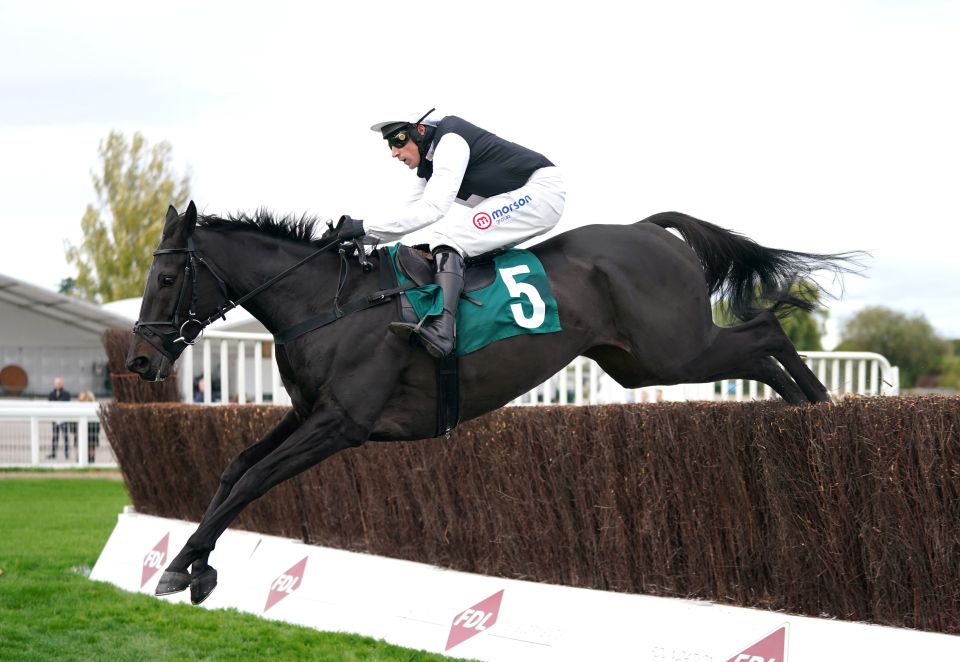 Cheltenham - Friday October 22nd