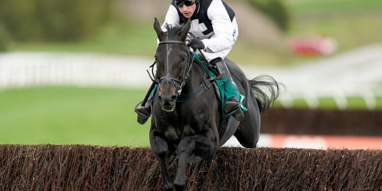 Tragedy at Cheltenham races as punter favourite Third Time Lucki suffers fatal injury