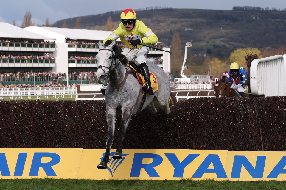 Jockey Harry Cobden riding Caldwell Potter over a jump at Cheltenham Racecourse.