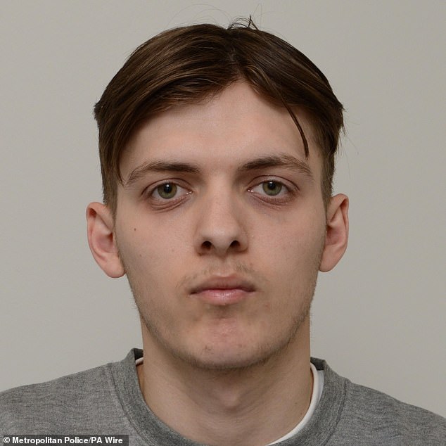 Jake Reeves, 24, from Croydon, south London, pleaded guilty to aggravated arson and agreeing to accept money from a foreign intelligence service and was jailed for 12 years