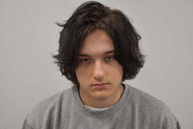 Ugnius Asmena, 20, a Lithuanian-born man, was living what his barrister described as a 'somewhat feral' existence with his drug-addicted mother in a squat in Roehampton, South London, was jailed for nine years