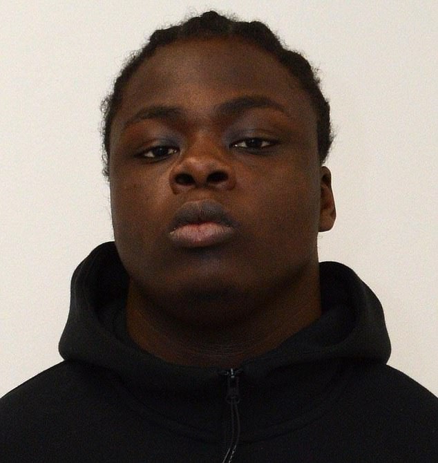 Nii Kojo Mensah, 23, a construction apprentice, was jailed for 10 years