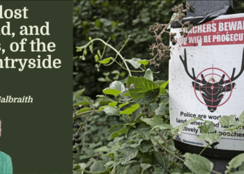 The lost world of the countryside