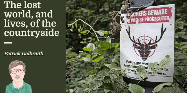 The lost world of the countryside