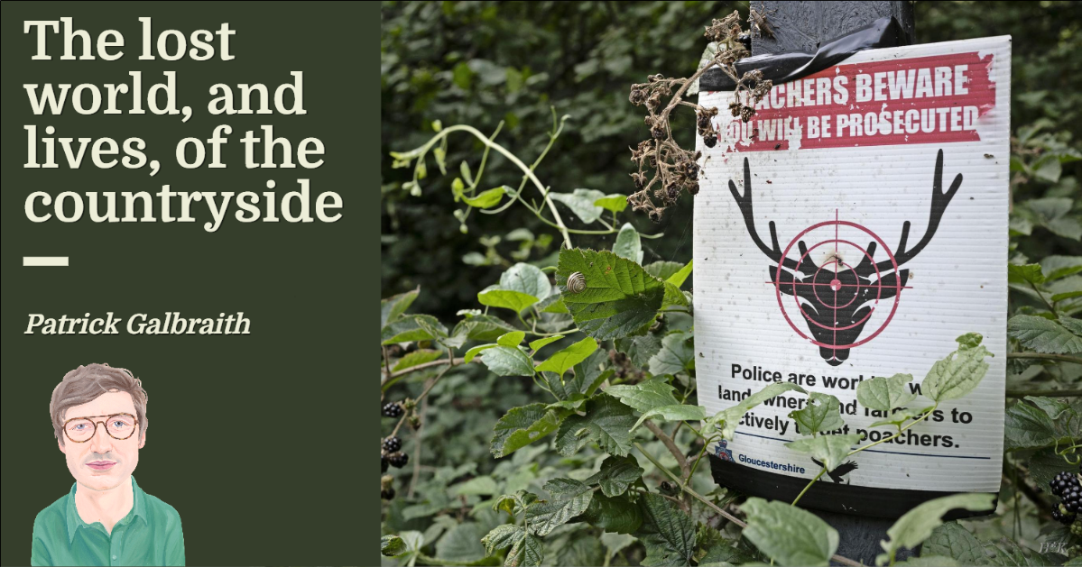 The lost world of the countryside