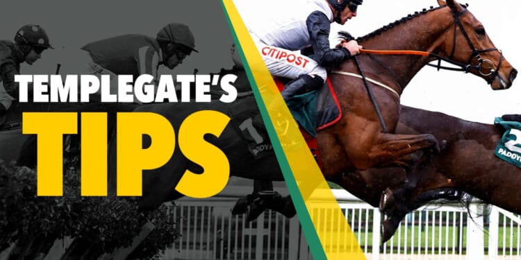 Horse racing tips: 'Nicky Henderson saddles a hat-trick seeker'